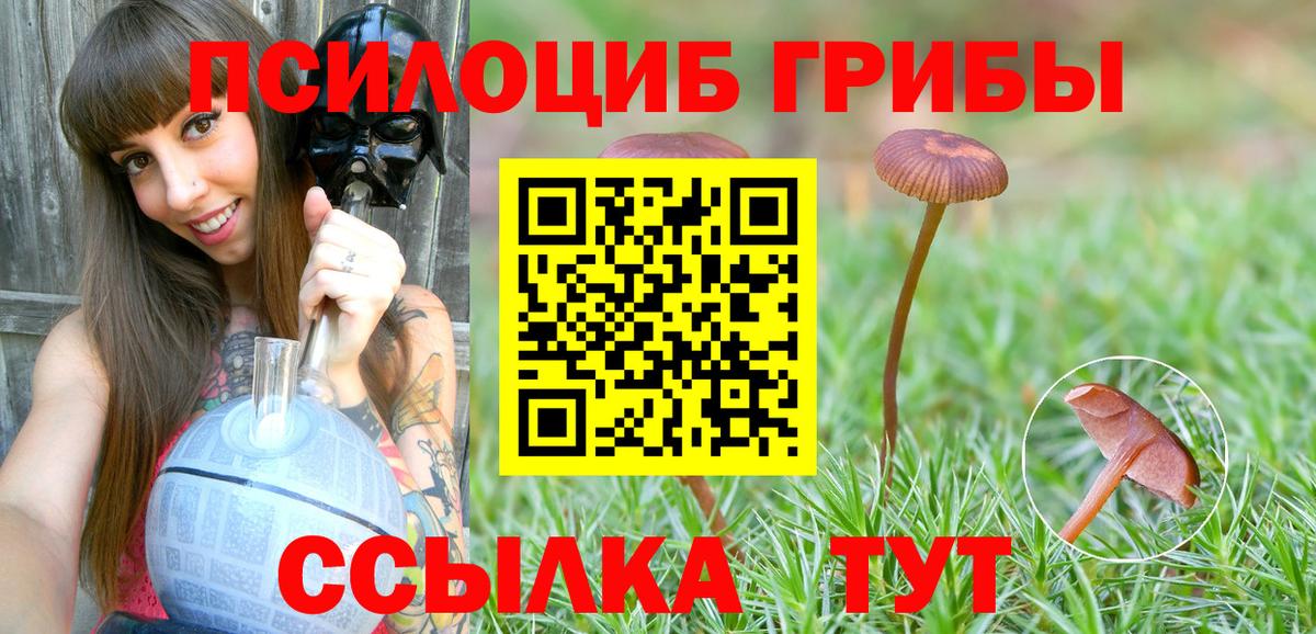 МЕФ Алатырь