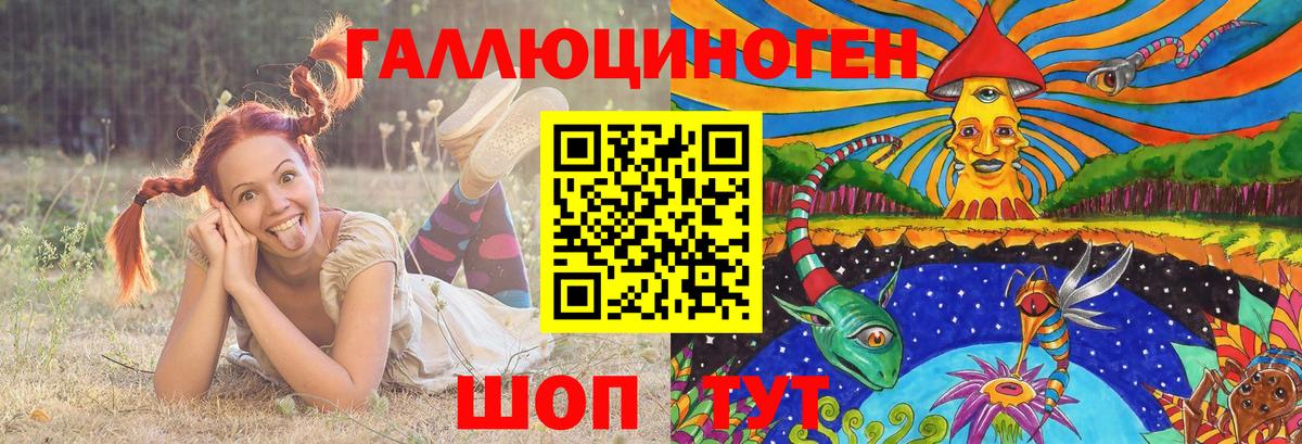 Алатырь  Галлюциногенные грибы Psilocybe  Вход с VPN  Псилоцибиновые грибы Psilocybine cubensis 